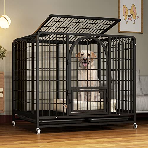 Hundekäfig, strapazierfähige Hundebox, Hundegehege für drinnen und draußen mit Doppeltür und abnehmbarem Tablett für kleine, mittelgroße Hunde ( Color : Black ) von NUSCWAN