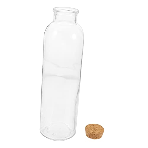 NUSITOU Ökologische Mikrolandschaft Glasflaschen Mit Korkstopfen Kleine Korkflaschen Aus Glas Kleine Glaskorkenflaschen Glasflaschen Mit Korkenverschluss Handvase Kaktus Blumentopfvase von NUSITOU