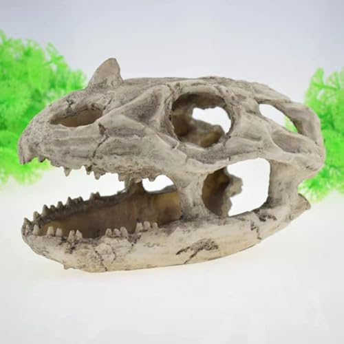 NUZAMAS Aquarium-Dekor, Kunstharz, emulierter Totenkopf, künstliche Dinosaurier-Totenkopf-Form, Aquarium-Ornament, Höhlen-Dekoration, Versteck, Kletterunterschlupf für Fische, Schildkröten NUZAMAS Aquarium-Dekor, Kunstharz, emulierter Totenkopf, künstliche Dinosaurier-Totenkopf-Form, Aquarium-Ornament, Höhlen-Dekoration, Versteck, Kletterunterschlupf für Fische, Schildkröten von NUZAMAS