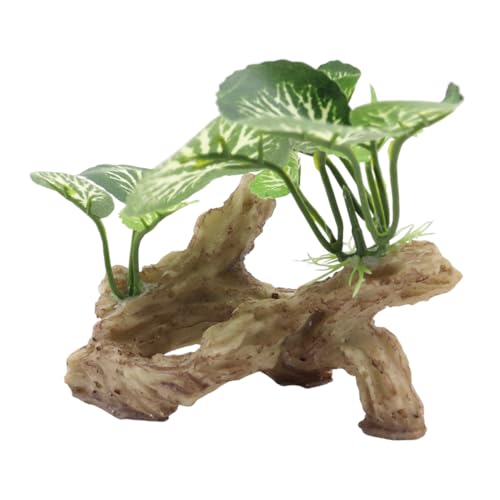 NUZAMAS Aquarium-Höhlendekorationen, Haustiere, Aquarienpflanzen, Betta-Aquarium-Ornament, Kunststoff-Simulation, Aquarium-Dekorationsset, künstliche Pflanzen, Felshöhle für Fische NUZAMAS Aquarium-Höhlendekorationen, Haustiere, Aquarienpflanzen, Betta-Aquarium-Ornament, Kunststoff-Simulation, Aquarium-Dekorationsset, künstliche Pflanzen, Felshöhle für Fische von NUZAMAS