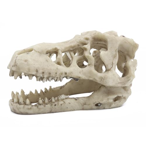 NUZAMAS Dinosaurier-Totenkopf-Skelett-Ornament, Kunstharz, künstliche Dinosaurier-Totenkopf-Form, Aquarium-Ornament, Höhlen-Dekoration, Versteck, Kletterunterschlupf für Fische, Schildkröten NUZAMAS Dinosaurier-Totenkopf-Skelett-Ornament, Kunstharz, künstliche Dinosaurier-Totenkopf-Form, Aquarium-Ornament, Höhlen-Dekoration, Versteck, Kletterunterschlupf für Fische, Schildkröten von NUZAMAS