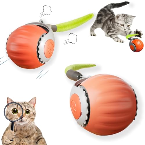 NVARUPC Verbessertes "Racing Tail 5.0 "Indoor Cat Interaktives Spielzeug: Sensor Katze Teasing Ball, Haustier Elektronisches Jagd- und Übungsspielzeug, speziell für gelangweilte Katzen, zwei Modi von NVARUPC
