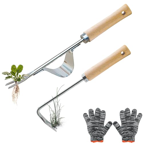 NVGVUP 2 Stück Unkrautstecher Edelstahl, Handjätgerät für den Garten, Wurzeljäter mit Holzgriff, Manueller Weeder zum Graben Umpflanzen Jäten Lösen, für Rasenflächen Garten, mit 1 Paar Handschuhe NVGVUP 2 Stück Unkrautstecher Edelstahl, Handjätgerät für den Garten, Wurzeljäter mit Holzgriff, Manueller Weeder zum Graben Umpflanzen Jäten Lösen, für Rasenflächen Garten, mit 1 Paar Handschuhe von NVGVUP