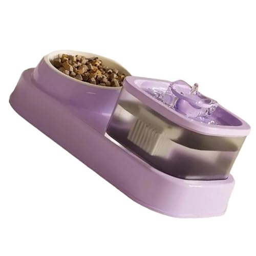 Elegant Cats Bowl Food Dish Set Treat Water Dispenser Food Container 2 In 1 Water Bowls Pet Utensil Automatic Cats Feeder And Dispenser von NVOQILIN