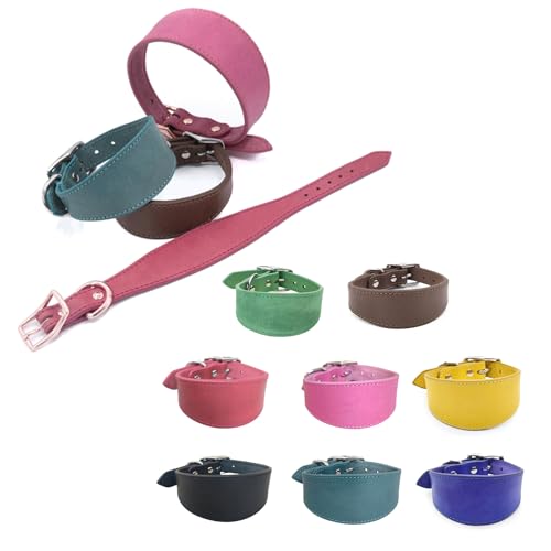 NVOQILIN Breites gepolstertes Hundehalsband, echtes Leder, Welpenhalsband für Lurcher, italienische Windhunde, bequemes Haustierzubehör NVOQILIN Breites gepolstertes Hundehalsband, echtes Leder, Welpenhalsband für Lurcher, italienische Windhunde, bequemes Haustierzubehör von NVOQILIN