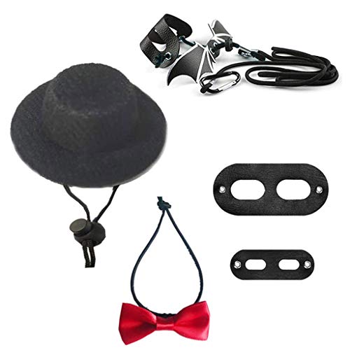 Traktionsseil, Hut, Fliege, weiches Leder, Bartdrachen-Geschirr, Leine, Halloween-Kostüm, Kleidung Traktionsseil, Hut, Fliege, weiches Leder, Bartdrachen-Geschirr, Leine, Halloween-Kostüm, Kleidung von NVOQILIN