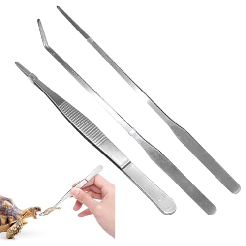 NYGGTYK 3 Pinzettenstücke, Edelstahl -Fütterungszange, Kreative, Gerade Und Gebogene Lange Pinzetten, Multifunktionale Pinzetten, Pinzettenzierfutter, Reptilienfütterungsinstrumente von NYGGTYK