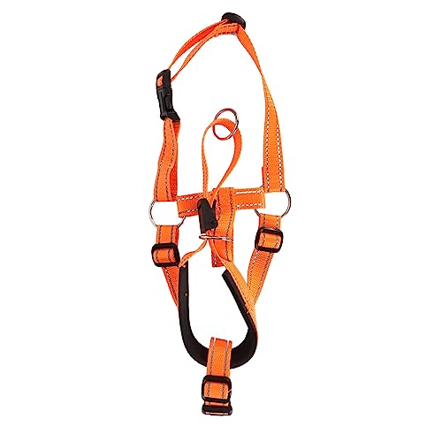 Headcollar Hunde Mündung Einstellbarer Biss Prävention Orange (S Größe) von NYSUZHOUJI