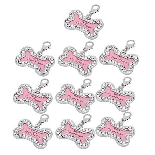 NYSUZHOUJI Benutzerdefinierte Edelstahl Hundekatze -Tag -Set Anti -Loss Hanging Halskette für PET -ID -Personalisierung von NYSUZHOUJI