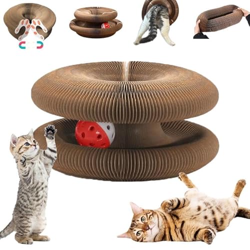 NYXXZ Kitty Curlz Magic Organ Kratzbrett mit Glockenball, magisches Organ Katzenspielzeug, faltbares Akkordeon-Design, Katzenkratzer, interaktives Angstlinderungsspielzeug für Innenräume NYXXZ Kitty Curlz Magic Organ Kratzbrett mit Glockenball, magisches Organ Katzenspielzeug, faltbares Akkordeon-Design, Katzenkratzer, interaktives Angstlinderungsspielzeug für Innenräume von NYXXZ