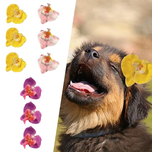 NZLTQO 3 Stück Hundehaar-Blumen-Clips, Haustier-hawaiianische Haarspangen, handgefertigt, tropische Blumen-Haarspange, Schmetterlings-Orchideen-Haarspange, Hunde-/Katzen-Haustierpflege-Zubehör NZLTQO 3 Stück Hundehaar-Blumen-Clips, Haustier-hawaiianische Haarspangen, handgefertigt, tropische Blumen-Haarspange, Schmetterlings-Orchideen-Haarspange, Hunde-/Katzen-Haustierpflege-Zubehör von NZLTQO