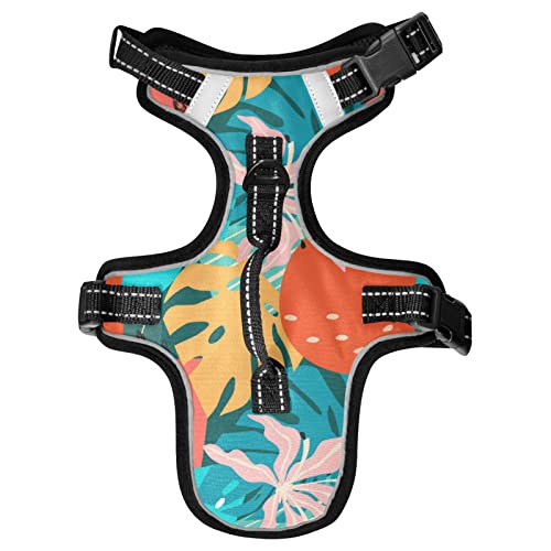 Naanle Cartoon Hawaii Floral Hundegeschirr mit Leine Clips No Pull Weich Gepolstert Mesh Weste Haustier Geschirr Reflektierend Verstellbare Weste für Hunde Naanle Cartoon Hawaii Floral Hundegeschirr mit Leine Clips No Pull Weich Gepolstert Mesh Weste Haustier Geschirr Reflektierend Verstellbare Weste für Hunde von Naanle