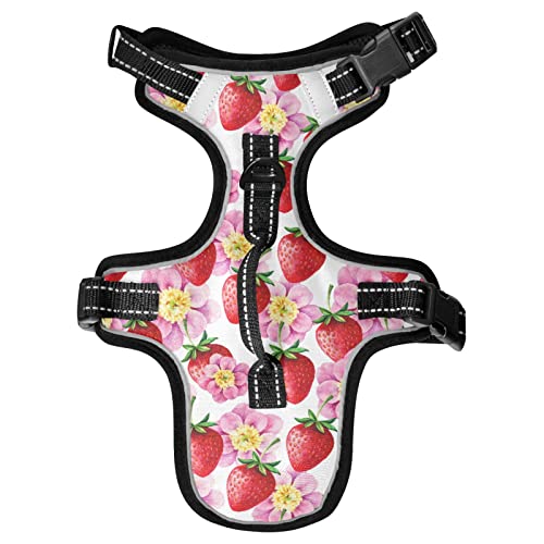 Naanle Cherry Blossom Strawberry Dog Harness with Leash Clips No Pull Soft Padded Mesh Vest Pet Harness Reflective Adjustable Vest for Dogs von Naanle