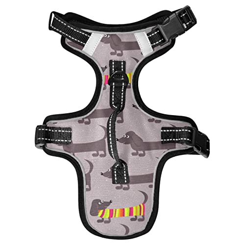 Naanle Dackel Hunde Hundegeschirr mit Leine Clips No Pull Weich Gepolstert Mesh Weste Haustier Geschirr Reflektierend Verstellbare Weste für Hund Katze von Naanle
