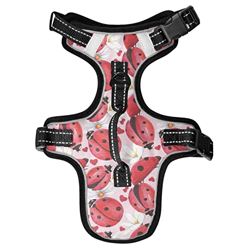 Naanle Herz Gänseblümchen Marienkäfer Hundegeschirr mit Leine Clips No Pull Weich Gepolstert Mesh Weste Haustier Geschirr Reflektierend Verstellbare Weste für Hunde Welpen Katzen Naanle Herz Gänseblümchen Marienkäfer Hundegeschirr mit Leine Clips No Pull Weich Gepolstert Mesh Weste Haustier Geschirr Reflektierend Verstellbare Weste für Hunde Welpen Katzen von Naanle