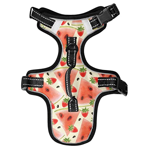 Naanle Wassermelone Erdbeere Hundegeschirr mit Leine Clips No Pull Weich Gepolstert Mesh Weste Haustier Geschirr Reflektierend Verstellbare Weste für Hunde von Naanle