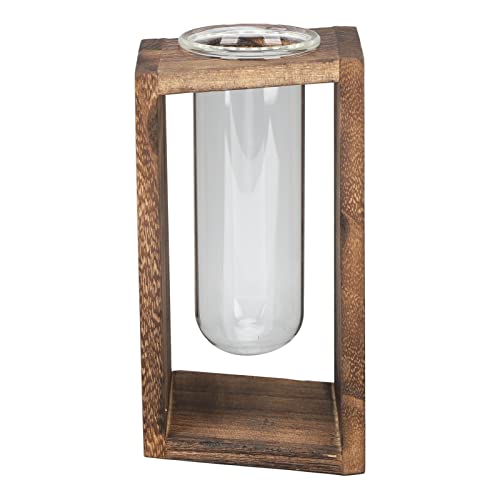 Glas Reagenzglas Anlage Terrarium Innovative Desktop-Pflanze Hydro ponik Pflanzen für Heim dekor. (Carbon Grill) von Nachukan