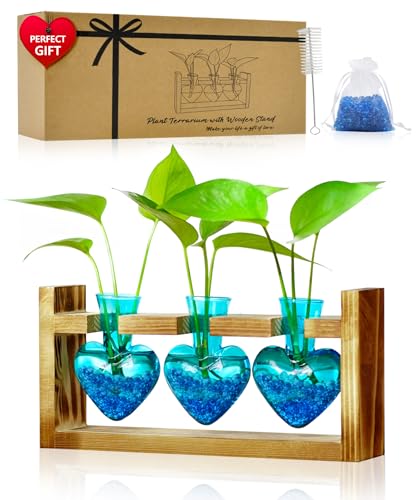 Nacome Pflanzen-Terrarium für Bürodekoration: Holzständer, Tisch-Pflanzgefäß, 3 Glühbirnen, Glasvase, Metall-Drehhalter für Hydrokultur, Heim- und Gartendekoration, Pflanzgefäßliebhaber, Nacome Pflanzen-Terrarium für Bürodekoration: Holzständer, Tisch-Pflanzgefäß, 3 Glühbirnen, Glasvase, Metall-Drehhalter für Hydrokultur, Heim- und Gartendekoration, Pflanzgefäßliebhaber, von Nacome