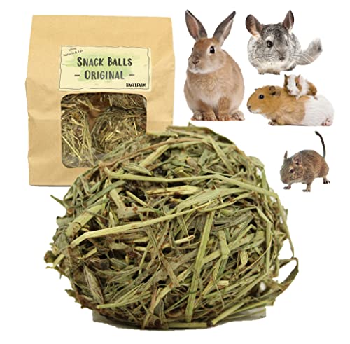 Snack Balls Original - Zutaten aus kontrollierten Anbau - Snack für Meerschweine Zwergkaninchen Chinchilla Degus Hamster Snack Balls Original - Zutaten aus kontrollierten Anbau - Snack für Meerschweine Zwergkaninchen Chinchilla Degus Hamster von Nagerfarm