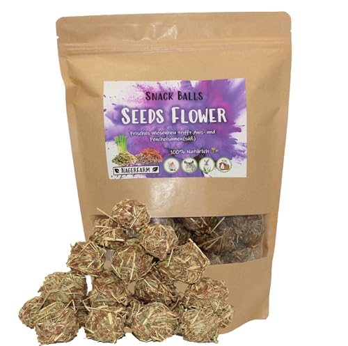 Snack Balls Seeds Flower - von Nagerfarm - Futter für Nager, Meerschweinchen und Zwergkaninchen 100% Natur für Deine Fellnasen - Deutsches Qualitätsprodukt ohne versteckte Zutaten (Mega Pack) von Nagerfarm