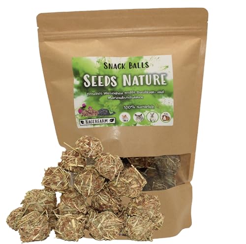 Snack Balls Seeds Nature - von Nagerfarm - Futter für Nager, Meerschweinchen und Zwergkaninchen 100% Natur für Deine Fellnasen - Deutsches Qualitätsprodukt ohne versteckte Zutaten - (Mega Pack) von Nagerfarm