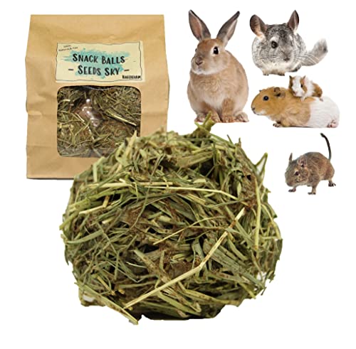 Snack Balls Seeds Sky - Zutaten aus kontrollierten Anbau - Snack für Meerschweine Zwergkaninchen Chinchilla Degus Hamster von Nagerfarm