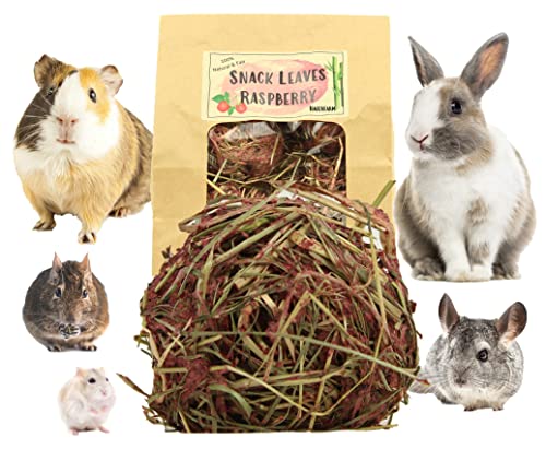 Snack Leaves - Raspberry - Zutaten aus kontrollierten Anbau - mit Bambusfasern - Snack für Meerschweine Zwergkaninchen Chinchilla Degus Hamster von Nagerfarm