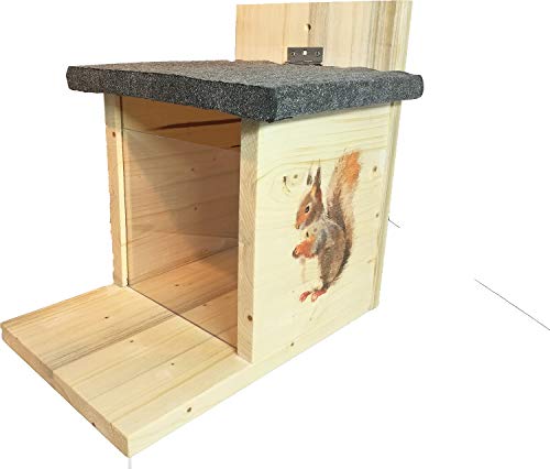 Nagerstore Eichhörnchen Futterhaus mit Motiven & Schutzlasur von Nagerstore
