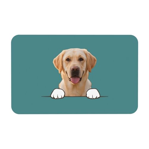 Fußmatte Personalisiert Napfunterlage Hund Futtermatte Katzen Haustür mit Namen und Foto Fußmatte Selbst Gestalten Haustier Hundebesitzer rutschfest Waschbar Geschenk Einzug Richtfest Geburtstag von Naispanda