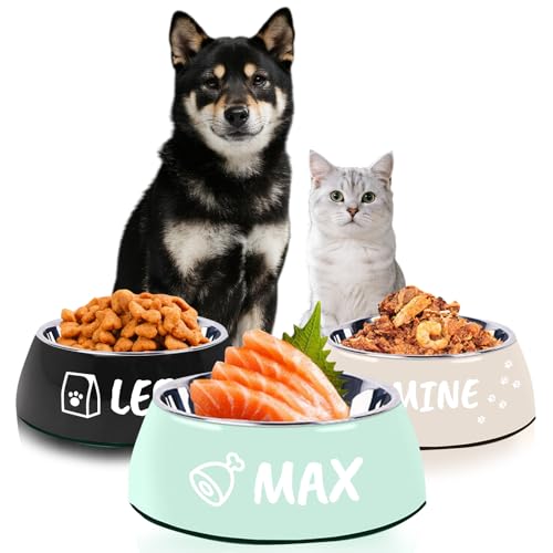 Hundenapf mit Namen, personalisierbar, für Hund und Katze, rutschfest, langlebig, niedlicher Metall-Edelstahl-Hundenapf (Green) von Naispanda