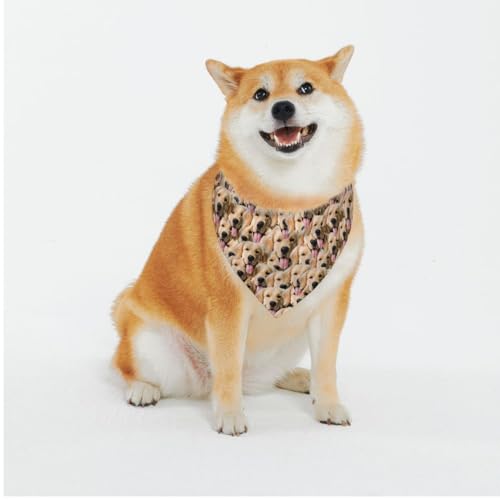 Personalisierte Hundehalstücher mit Foto, Name, Logo, Individueller Haustierschal, Dreieckstuch, Halstuch mit Verstellbarer Schnalle, Personalisiertes Haustierkostüm-Accessoire für Hunde und Katzen Personalisierte Hundehalstücher mit Foto, Name, Logo, Individueller Haustierschal, Dreieckstuch, Halstuch mit Verstellbarer Schnalle, Personalisiertes Haustierkostüm-Accessoire für Hunde und Katzen von Naispanda