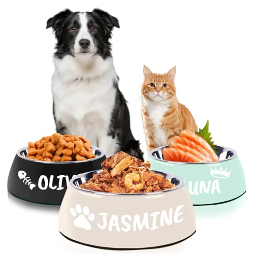 Personalisierter Hundenapf mit Namen Katzennapf Edelstahl graviert Hundewassernapf Personalisierte Hundegeschenke von Naispanda