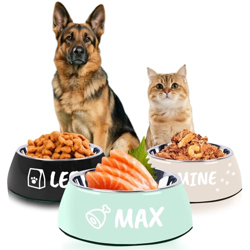 Personalisierter Hundenapf mit Namen Katzennapf Edelstahl graviert Hundewassernapf Personalisierte Hundegeschenke von Naispanda