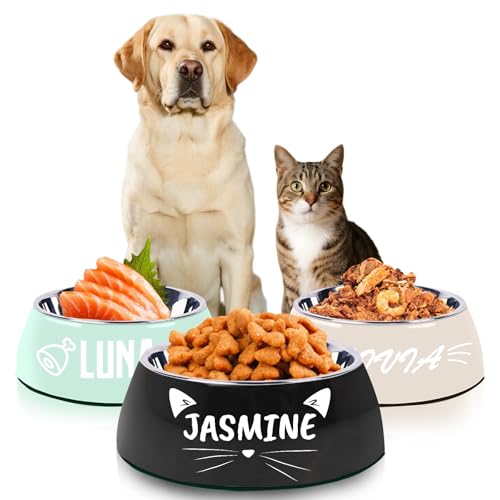 Personalisierter Hundenapf mit Namen Katzennapf Edelstahl graviert Hundewassernapf Personalisierte Hundegeschenke von Naispanda