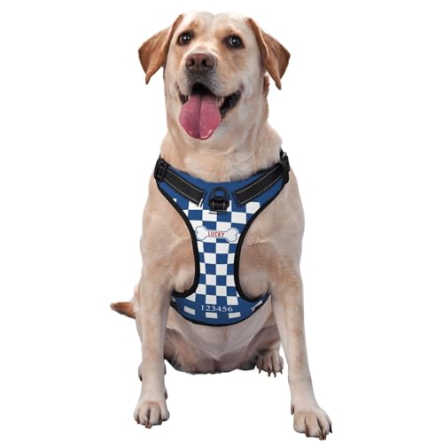 Personalisiertes Anti Zug Hundegeschirr mit Name, Personalisiertes Hundegeschirr mit Name und Telefonnummer für Kleine, Mittelgroße und Große Hunde Personalisiertes Anti Zug Hundegeschirr mit Name, Personalisiertes Hundegeschirr mit Name und Telefonnummer für Kleine, Mittelgroße und Große Hunde von Naispanda