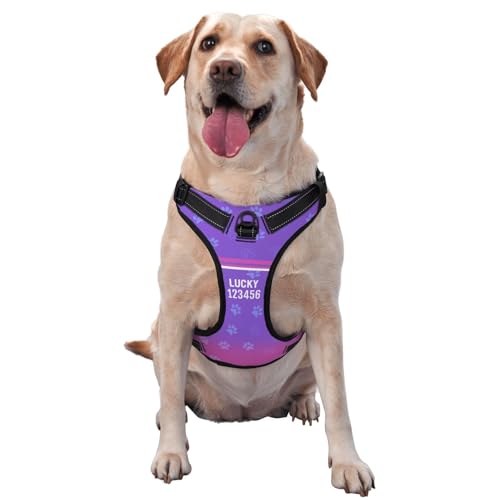 Personalisiertes Anti Zug Hundegeschirr mit Name, Personalisiertes Hundegeschirr mit Name und Telefonnummer für Kleine, Mittelgroße und Große Hunde Personalisiertes Anti Zug Hundegeschirr mit Name, Personalisiertes Hundegeschirr mit Name und Telefonnummer für Kleine, Mittelgroße und Große Hunde von Naispanda