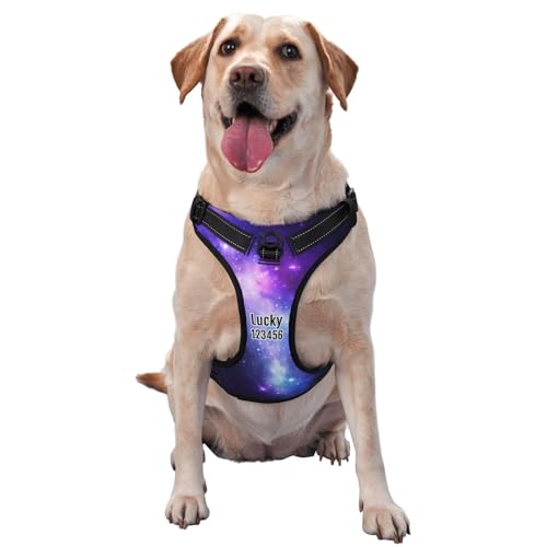 Personalisiertes Anti Zug Hundegeschirr mit Name, Personalisiertes Hundegeschirr mit Name und Telefonnummer für Kleine, Mittelgroße und Große Hunde Personalisiertes Anti Zug Hundegeschirr mit Name, Personalisiertes Hundegeschirr mit Name und Telefonnummer für Kleine, Mittelgroße und Große Hunde von Naispanda