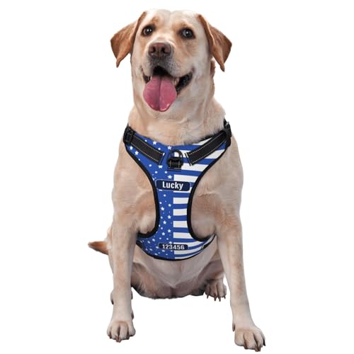 Personalisiertes Anti Zug Hundegeschirr mit Name, Personalisiertes Hundegeschirr mit Name und Telefonnummer für Kleine, Mittelgroße und Große Hunde Personalisiertes Anti Zug Hundegeschirr mit Name, Personalisiertes Hundegeschirr mit Name und Telefonnummer für Kleine, Mittelgroße und Große Hunde von Naispanda