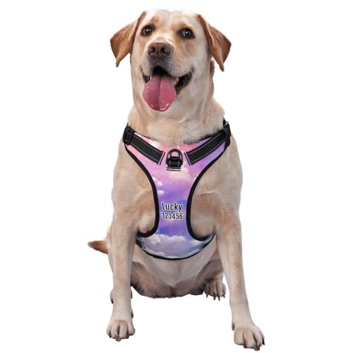 Personalisiertes Anti Zug Hundegeschirr mit Name, Personalisiertes Hundegeschirr mit Name und Telefonnummer für Kleine, Mittelgroße und Große Hunde Personalisiertes Anti Zug Hundegeschirr mit Name, Personalisiertes Hundegeschirr mit Name und Telefonnummer für Kleine, Mittelgroße und Große Hunde von Naispanda
