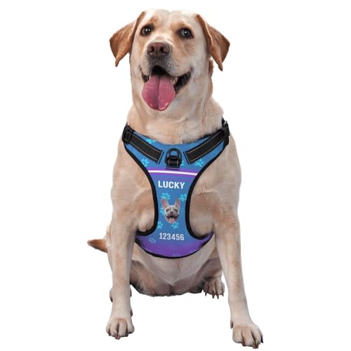 Personalisiertes Anti Zug Hundegeschirr mit Name, Personalisiertes Hundegeschirr mit Name und Telefonnummer für Kleine, Mittelgroße und Große Hunde Personalisiertes Anti Zug Hundegeschirr mit Name, Personalisiertes Hundegeschirr mit Name und Telefonnummer für Kleine, Mittelgroße und Große Hunde von Naispanda