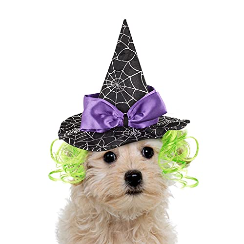 Namsan Haustier Halloween Kostüm Hunde Hexenhut Lila Katzen Hut Halloween Kopfbedeckung für Katzen/Hunde/Kaninchen von Namsan