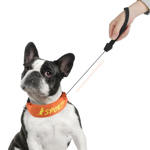 NAMSAN 2-in-1-Hundehalsband mit Rollleine Leine Verstellbares Hundehalsband Eingebaut Ausziehbar Hundeleine mit Griff für Kleine und Mittlere Hunderassen von Namsan