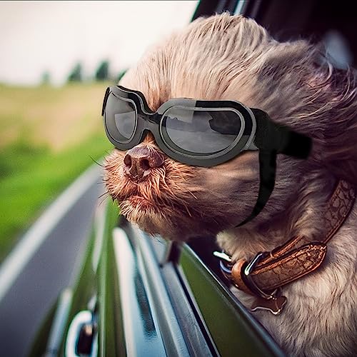 NAMSAN Hundebrille, kleine Rassen, UV-Objektiv, Hunde-Sonnenbrille für kleine Hunde, Augenschutz, Outdoor, beschlagfrei, schneefest, winddicht, verstellbar, helles Schwarz von Namsan