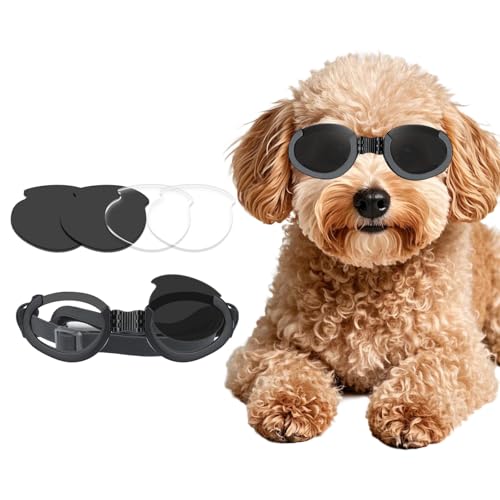 NAMSAN Hundebrille Hunde Motorradbrille Hundesonnenbrille mit Austauschbaren Gläsern (Schwarz +Klar) Augenschutzbrille für Hunde von Namsan
