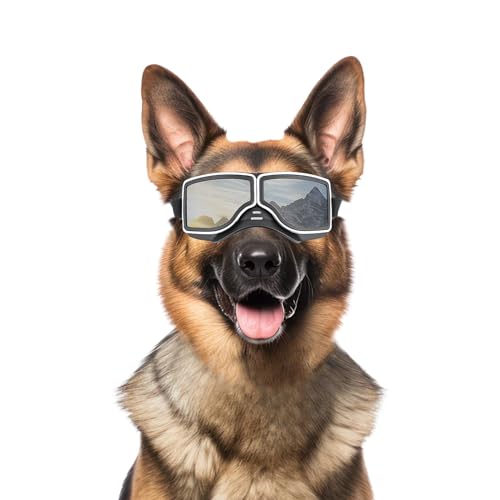 NAMSAN Hundebrille UV-Schutz, Winddicht, Staubdicht, mit Verstellbarem Riemen, für Mittlere bis Große Hunde - Silber von Namsan