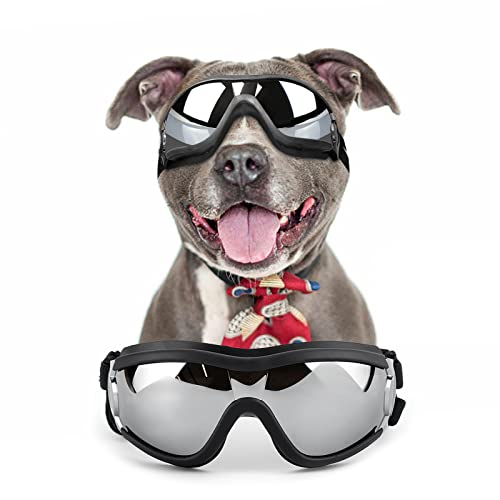 NAMSAN Hundebrille für mittelgroße bis große Hunde, UV-Sonnenbrille, Winddicht, staubdicht, schneefest, mit elastischen Bändern NAMSAN Hundebrille für mittelgroße bis große Hunde, UV-Sonnenbrille, Winddicht, staubdicht, schneefest, mit elastischen Bändern von Namsan
