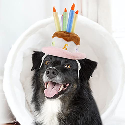 NAMSAN Hundegeburstag Hut Haustier Kuchen Hut Hunde Geburtstagshut Klein bis Großer Hunde/Katze Fuer Geburtstagsparty von Namsan