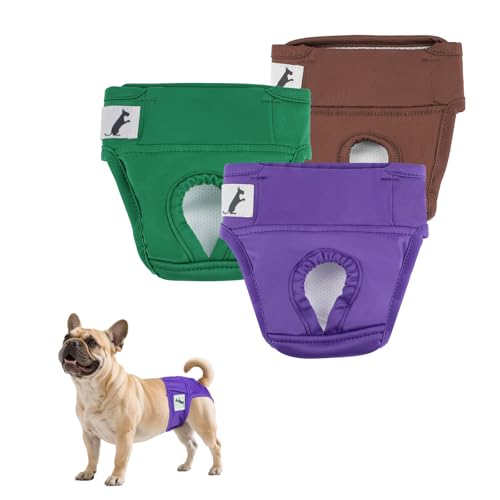 NAMSAN Hundewindeln 3 Stück Läufigkeitshose für Hündinnen Hochsaugfähige Perioden Schlüpfer für Hunde Schutzhöschen für Urin Inkontinenz/Untrainierte Welpen, XL NAMSAN Hundewindeln 3 Stück Läufigkeitshose für Hündinnen Hochsaugfähige Perioden Schlüpfer für Hunde Schutzhöschen für Urin Inkontinenz/Untrainierte Welpen, XL von Namsan