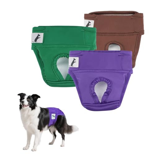 NAMSAN Hundewindeln 3 Stück Läufigkeitshose für Hündinnen Hochsaugfähige Perioden Schlüpfer für Hunde Schutzhöschen für Urin Inkontinenz/Untrainierte Welpen, XXL von Namsan