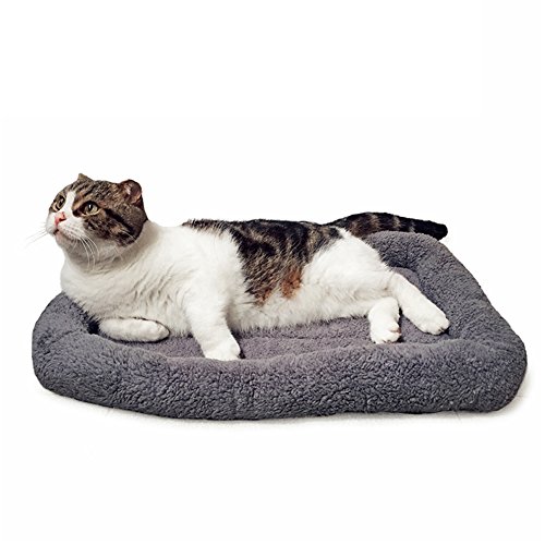 Namsan Katzenbett Hundebett Sanft Katzenkissen Plüsch Wärmematte für Kleinen Hunde/Katze/Hasen, 45CM X 60CM, Gray von Namsan